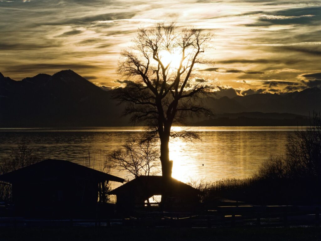 Baum im Gegenlicht vor See und Bergen im Hintergrund im Vordergrund ein Bootshaus.